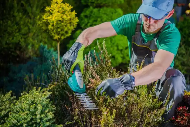 landscaping services Norway
